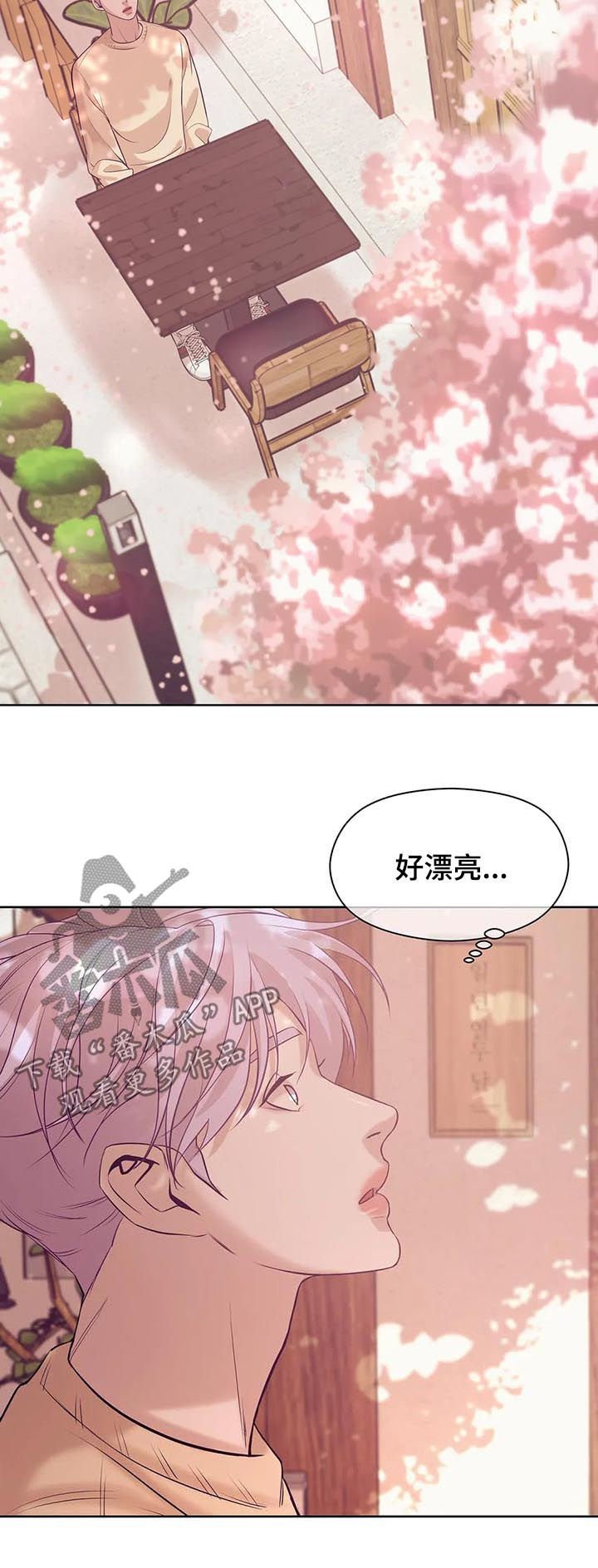 第44章：放手！