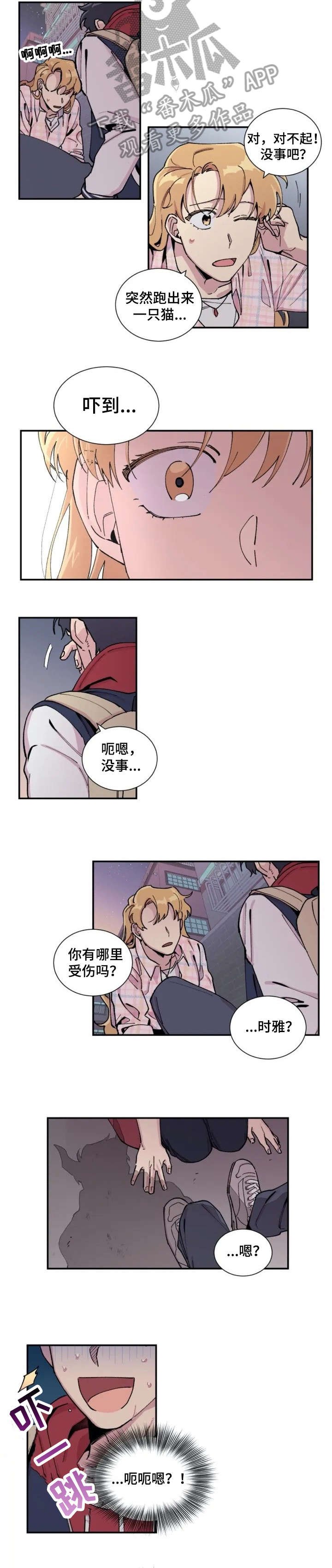 第5章：完蛋了
