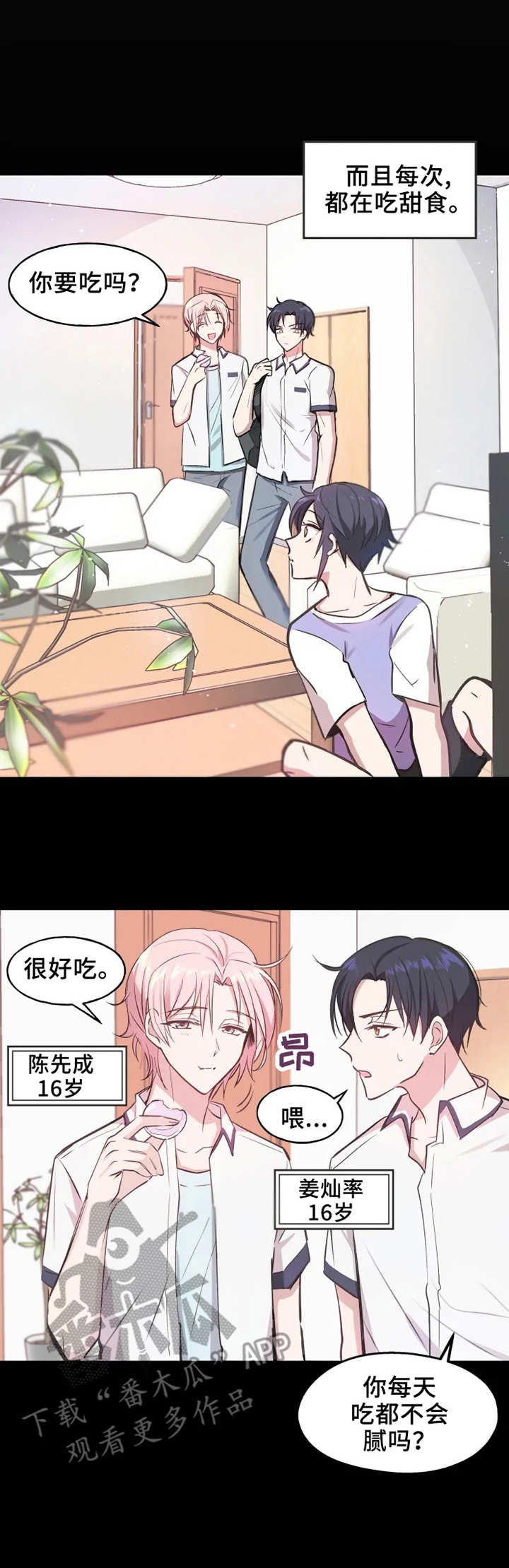 第5章：马卡龙