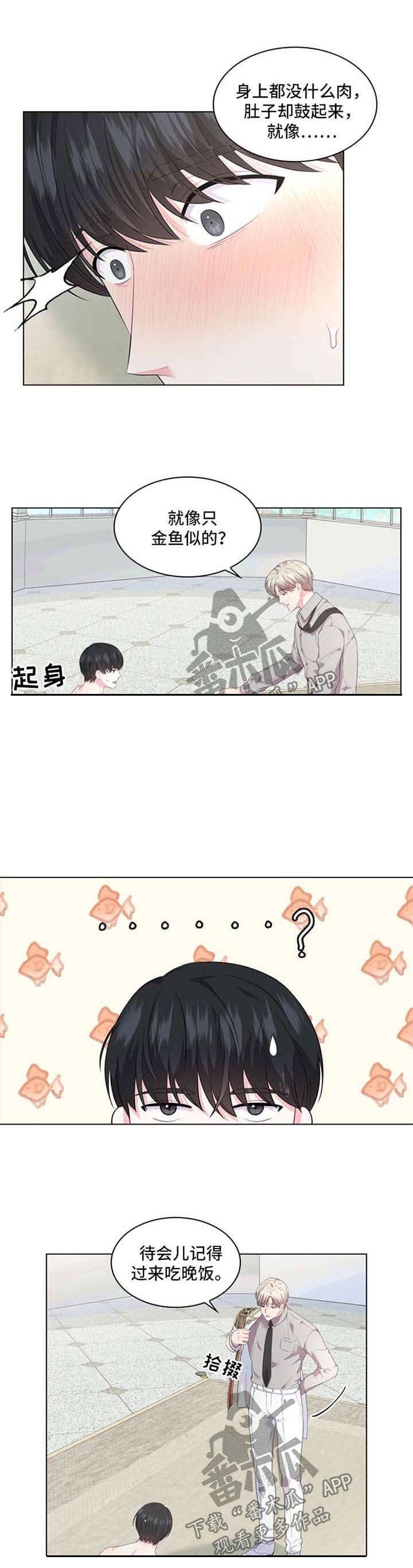 第28章：金鱼