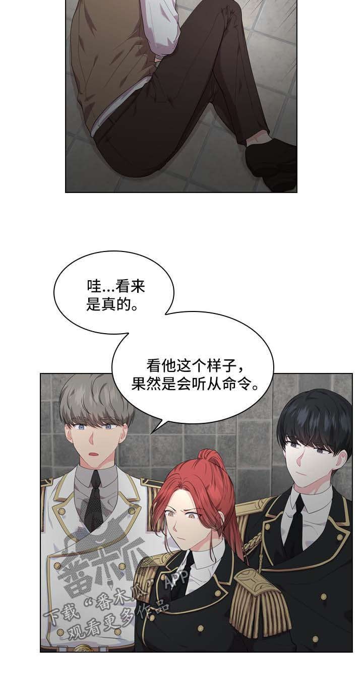 第29章：审问