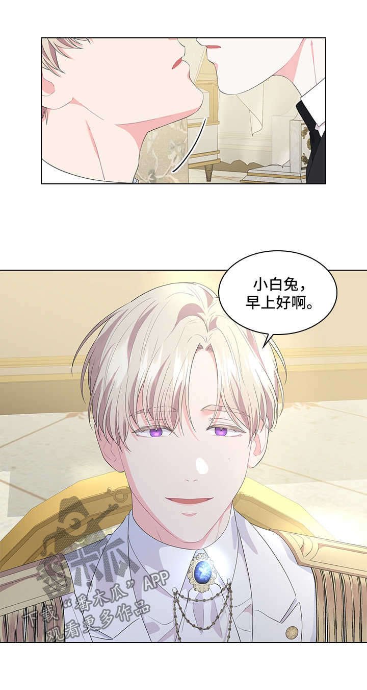 第39章：小白兔的爱好