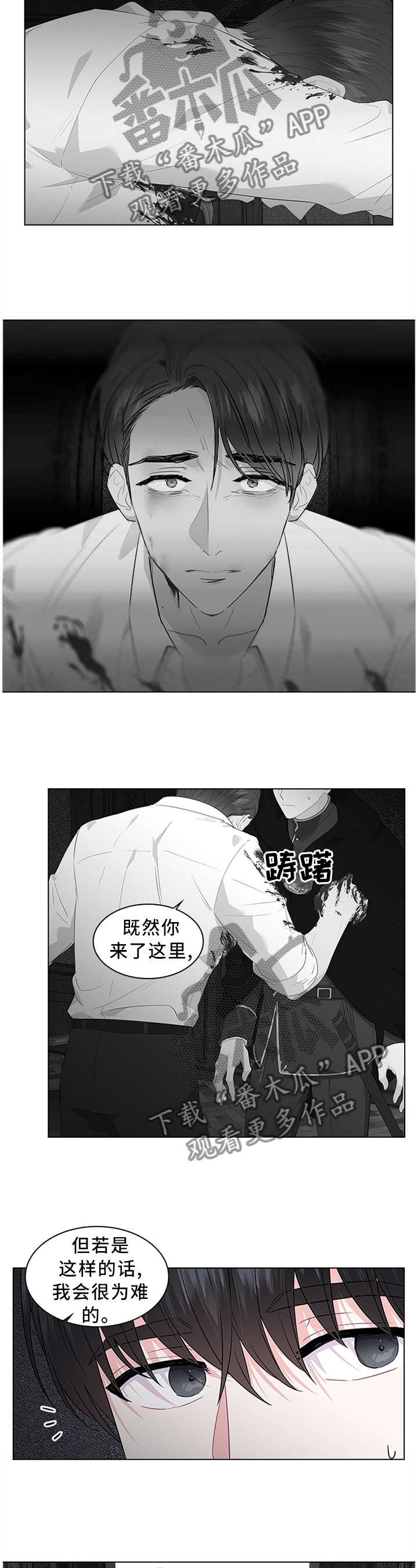 第48章：表明心意