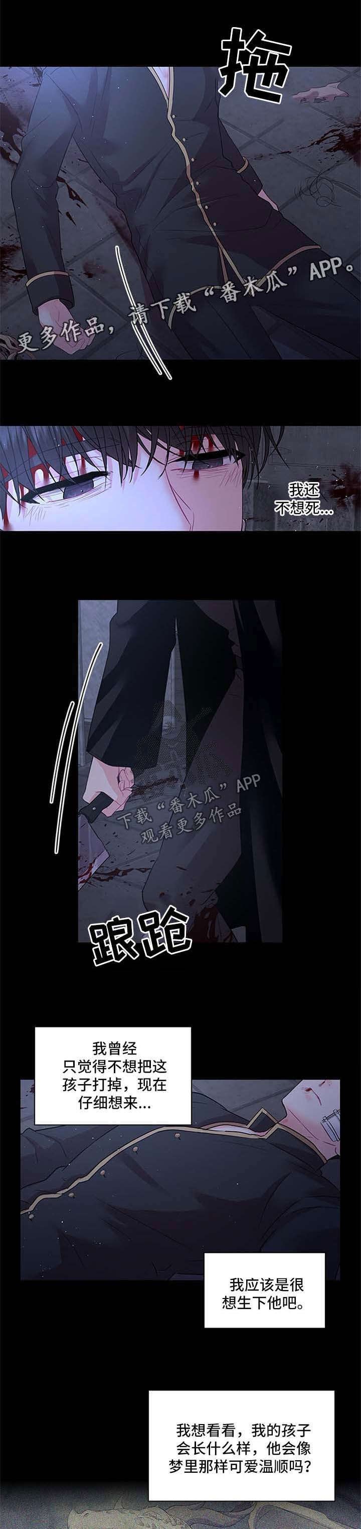 第68章：壮观