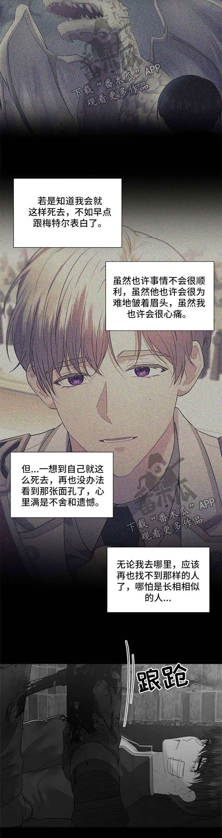 第68章：壮观