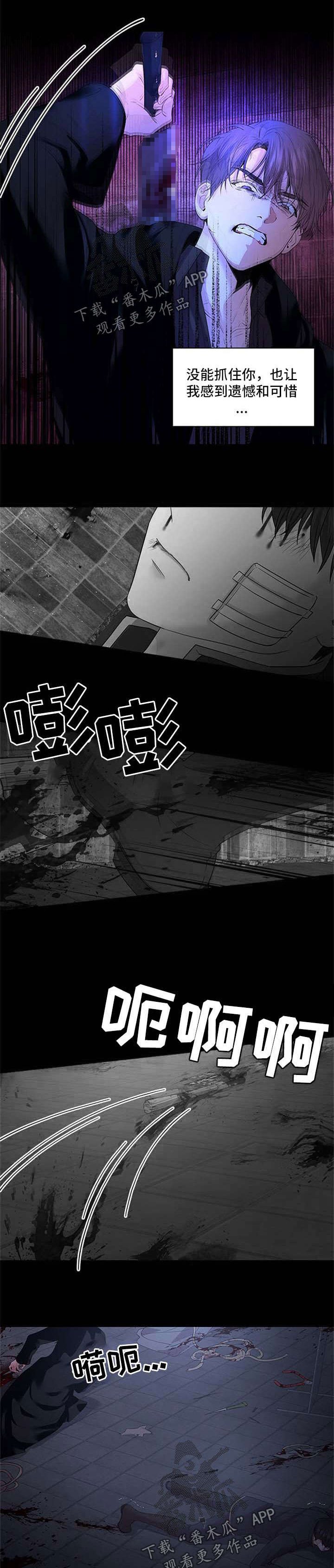 第68章：壮观