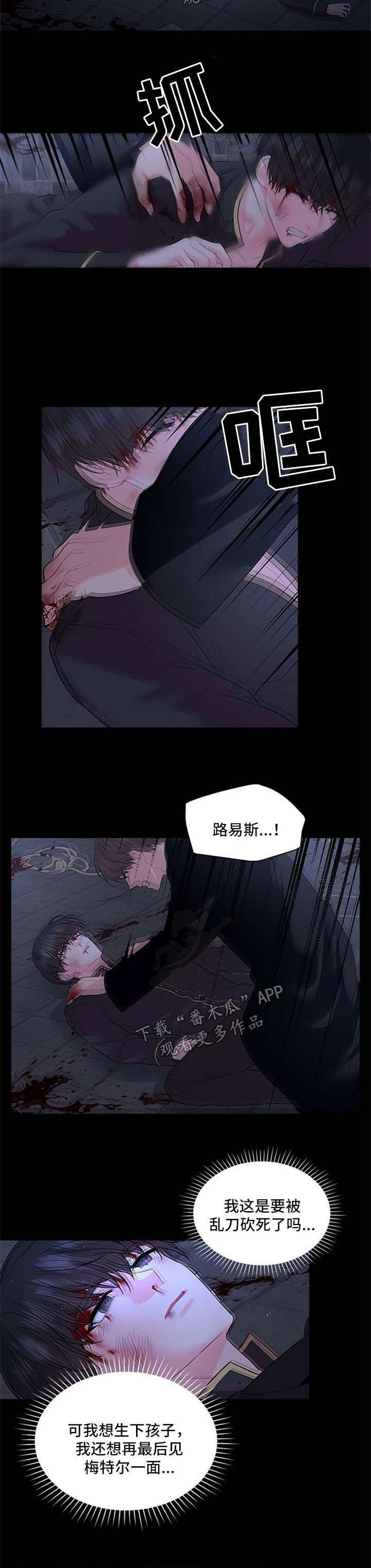 第68章：壮观
