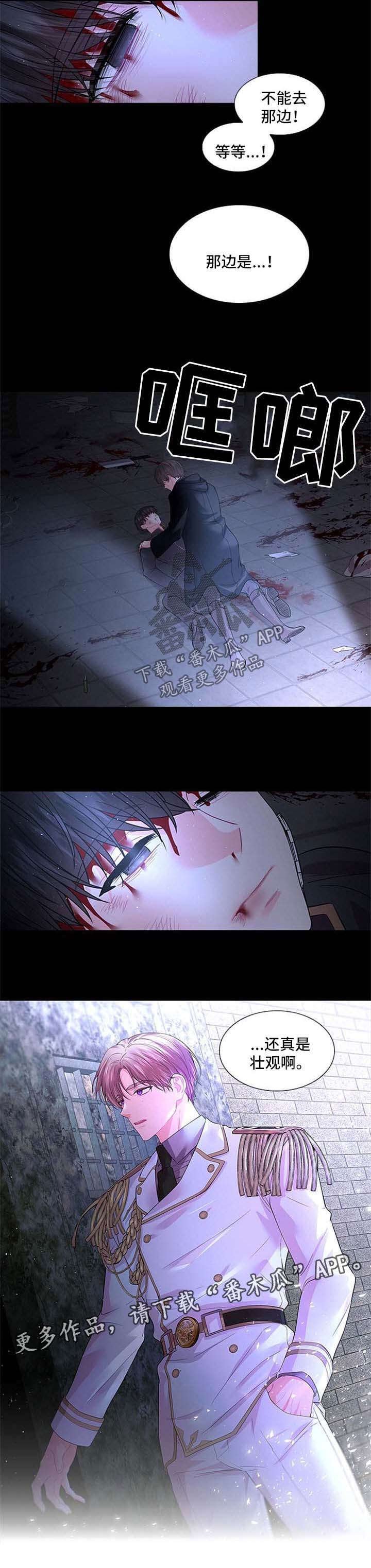 第68章：壮观