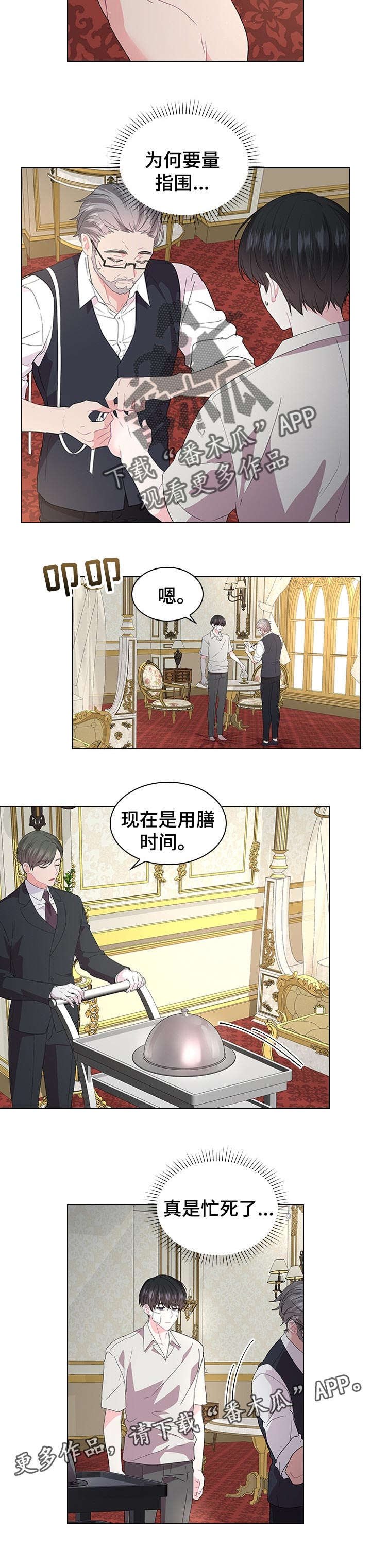 第74章：期待着的婚礼