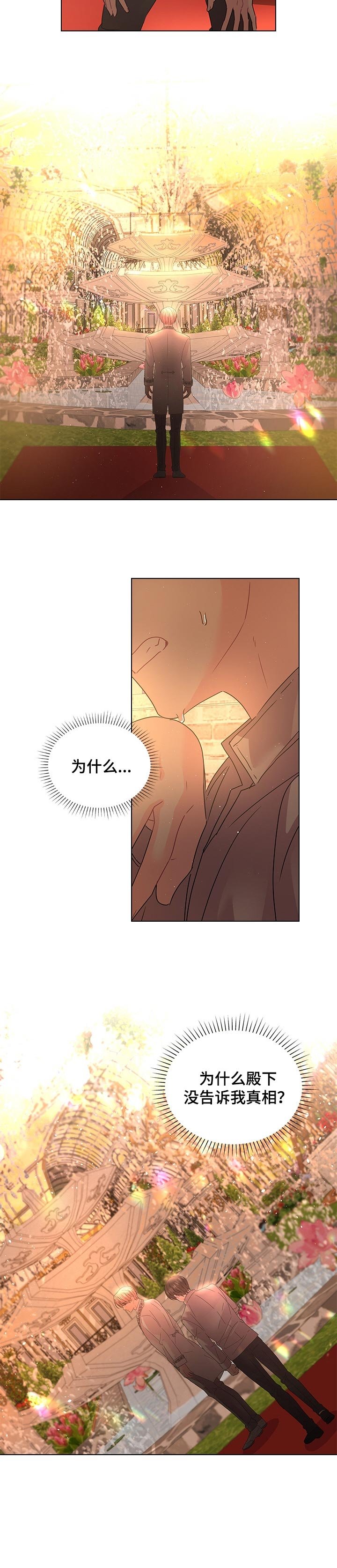 第81章：事情的真相