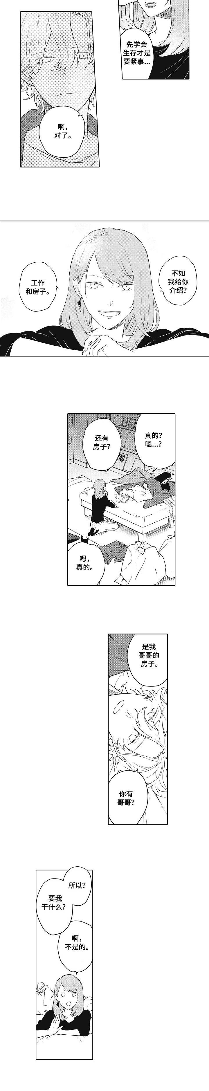 第1章：打击