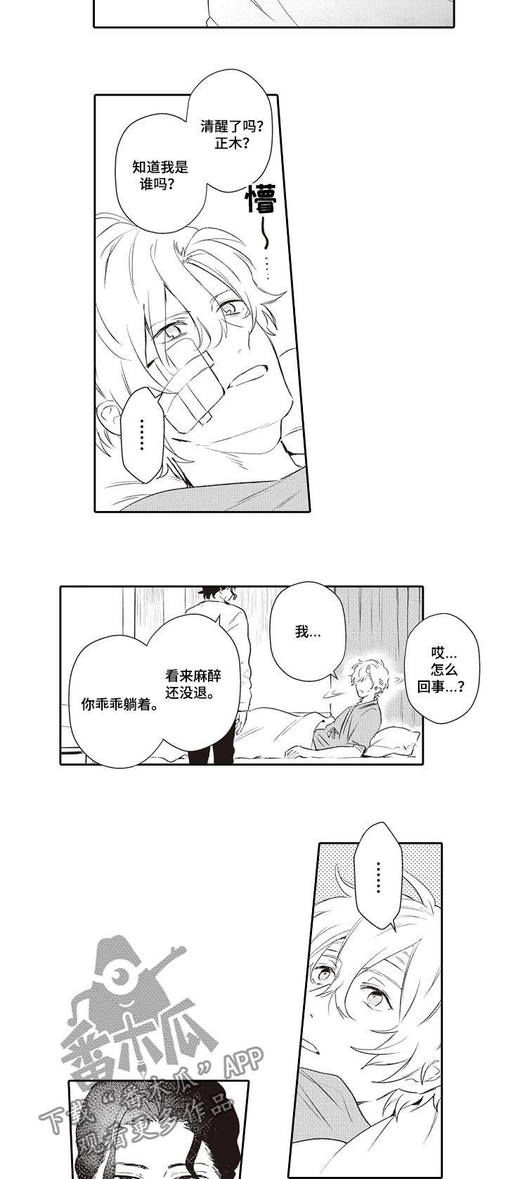 第23章：女友