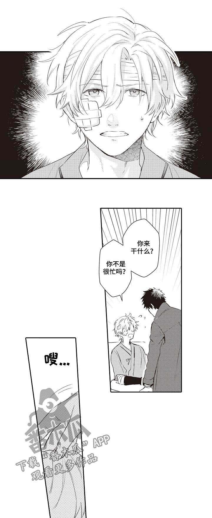 第26章：照片
