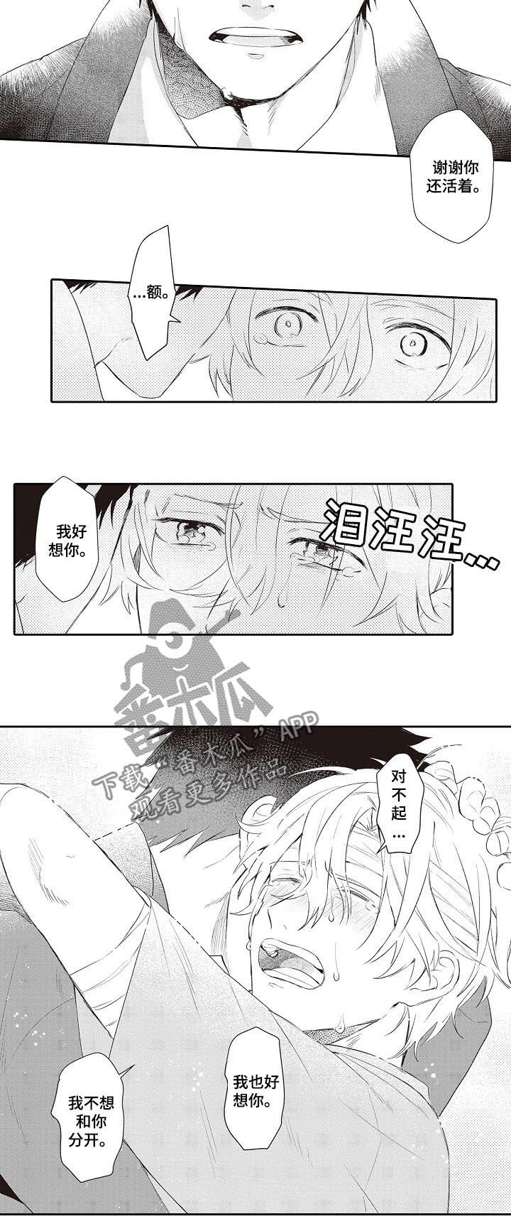 第26章：照片