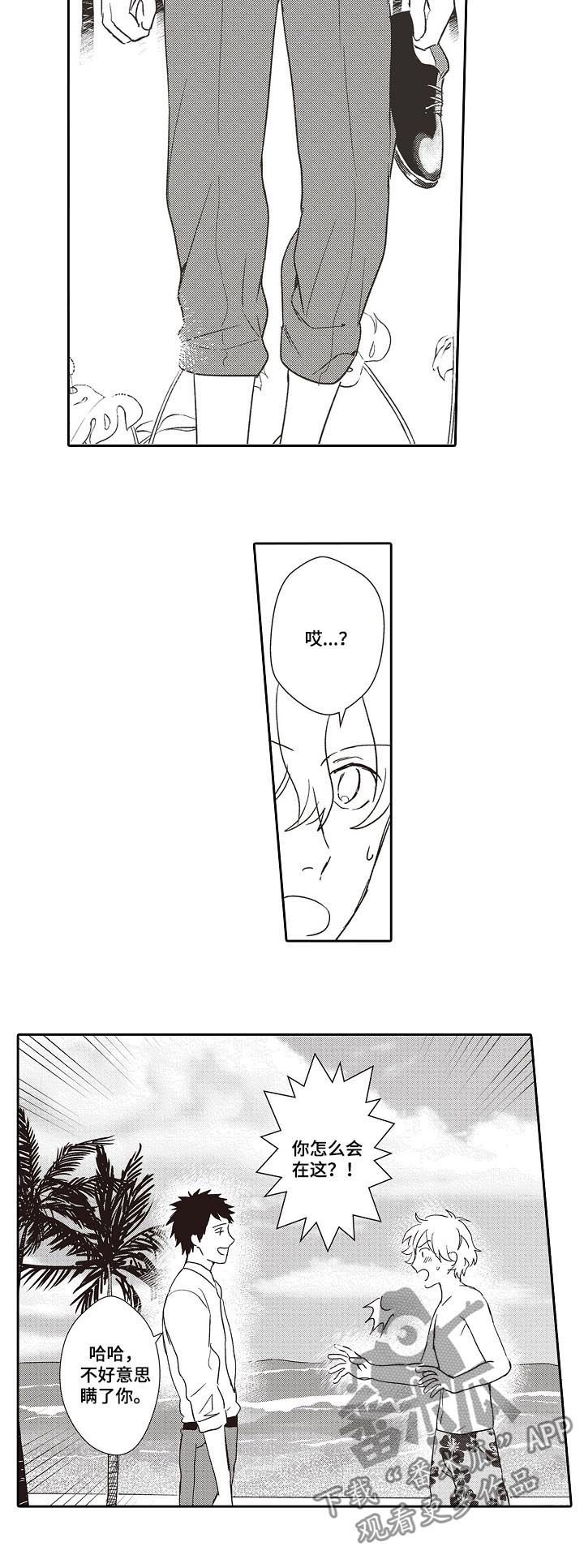 第31章：惊喜