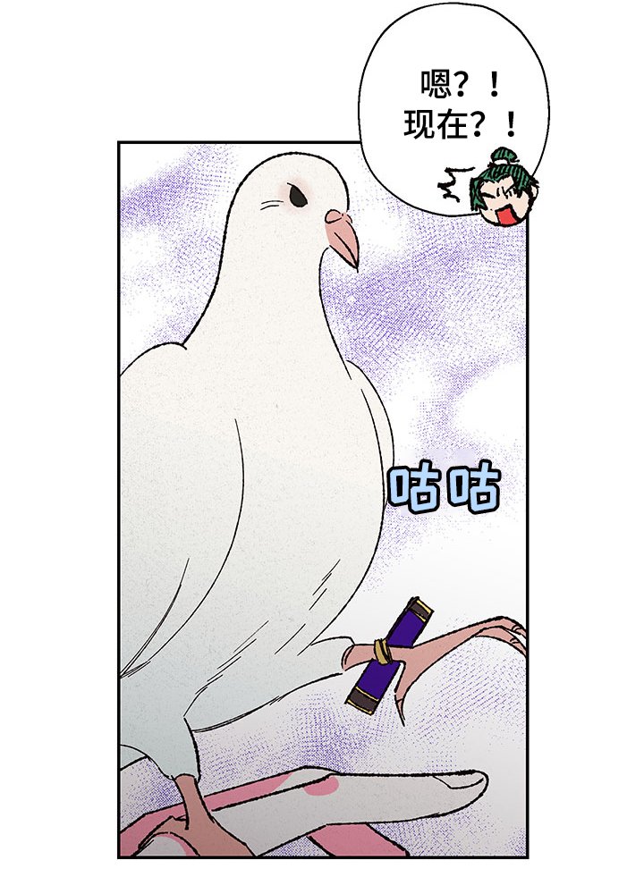 第104章：【第三季】如意珠回来了