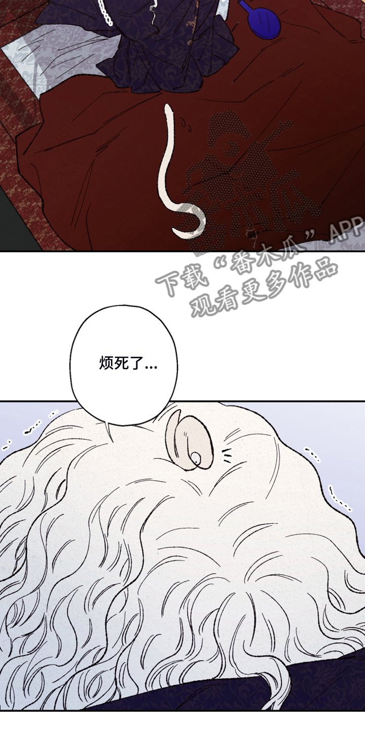 第114章：【第三季】让我看看