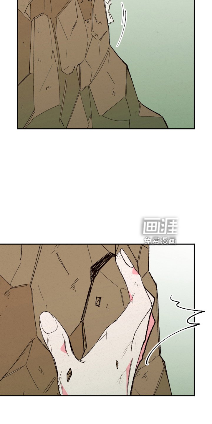 第139章：【第三季番外】是男的