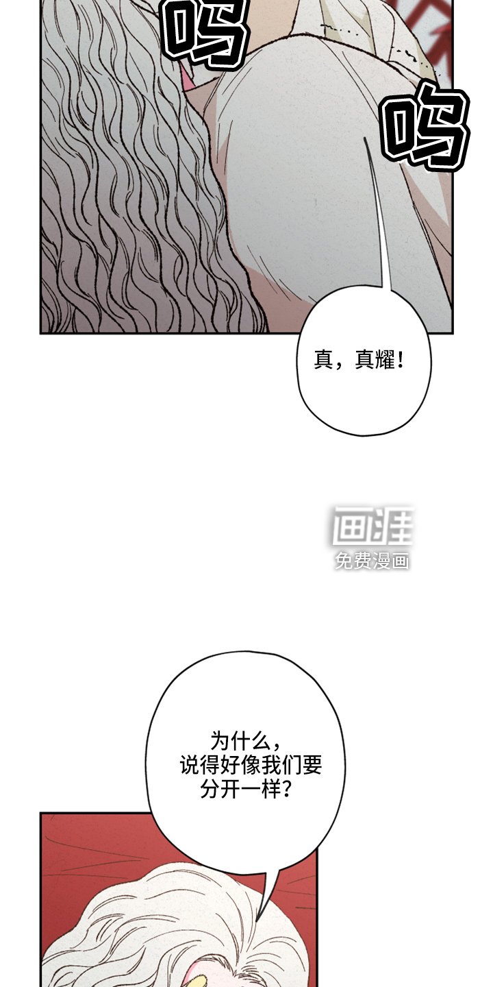 第141章：【第三季番外完结】家人
