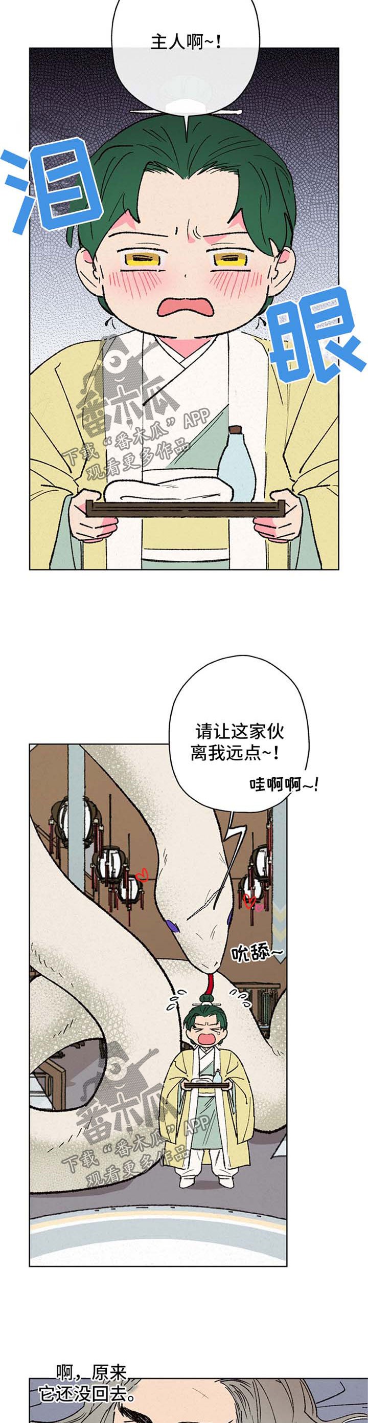 第16章：巨蟒