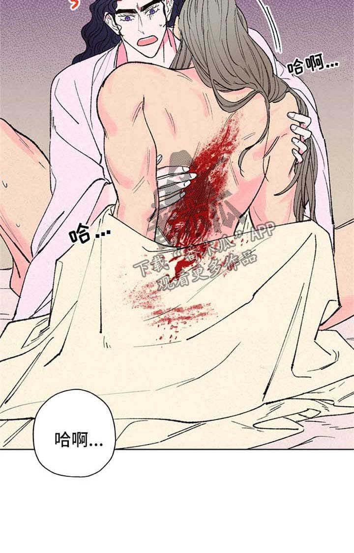 第19章：血