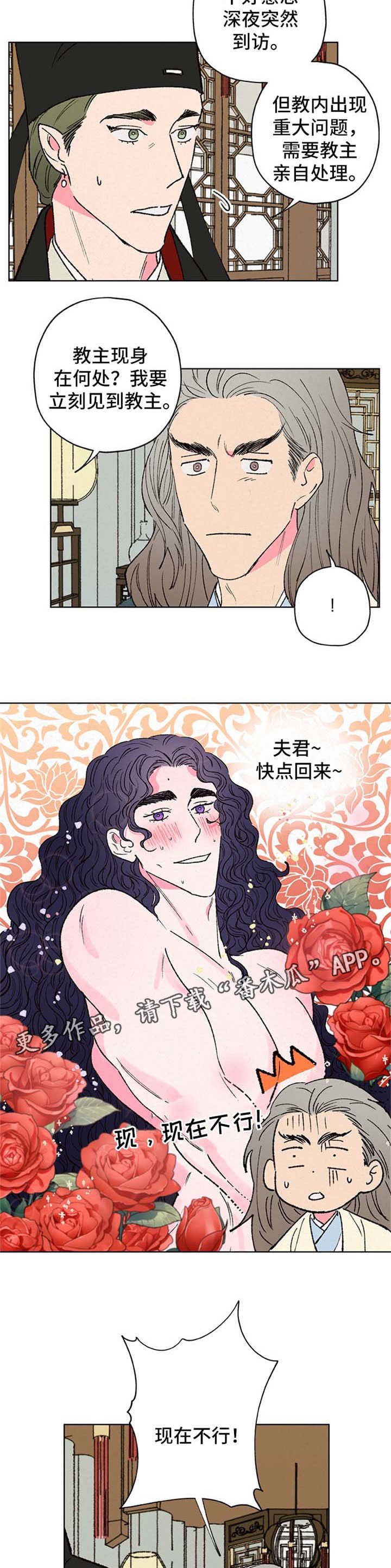第28章：不行