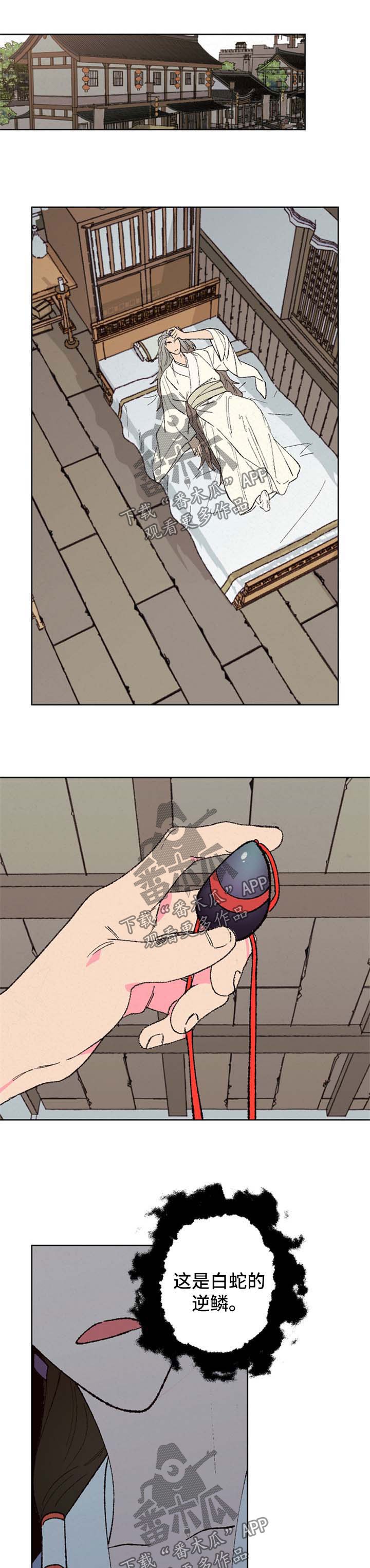 第37章：贵宾