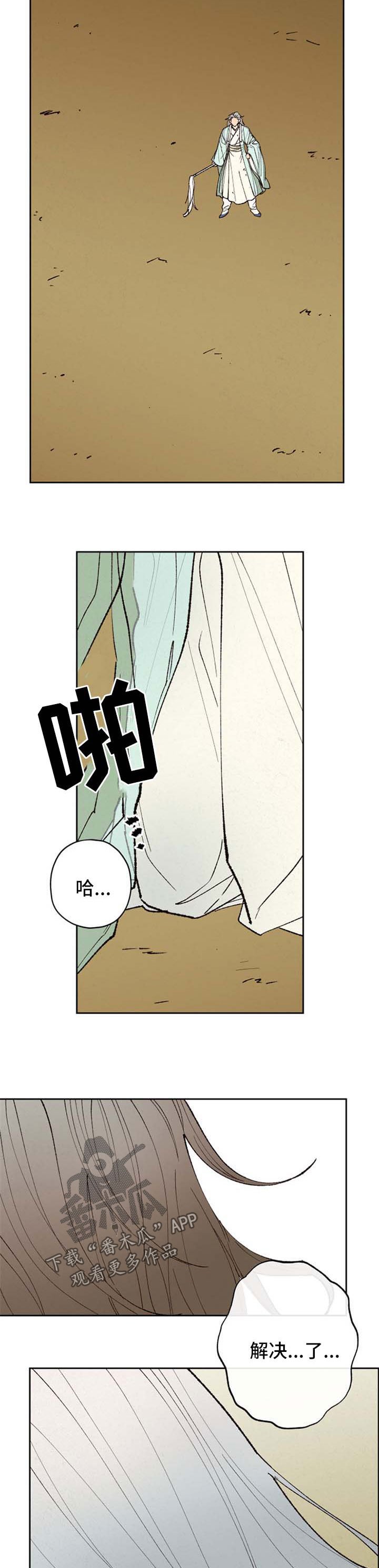 第46章：解决