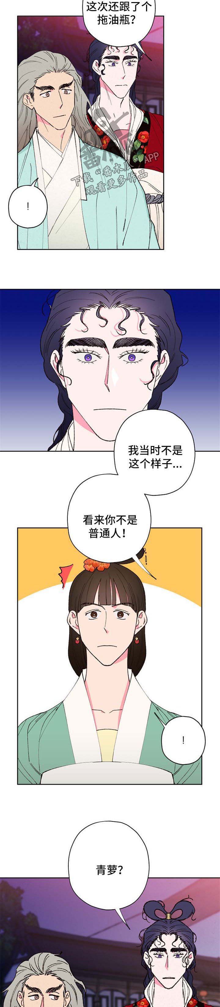 第51章：盘发