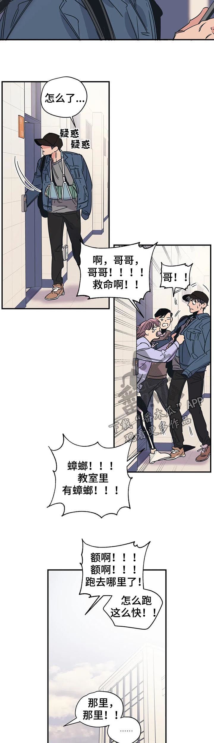 第33章：别莽撞