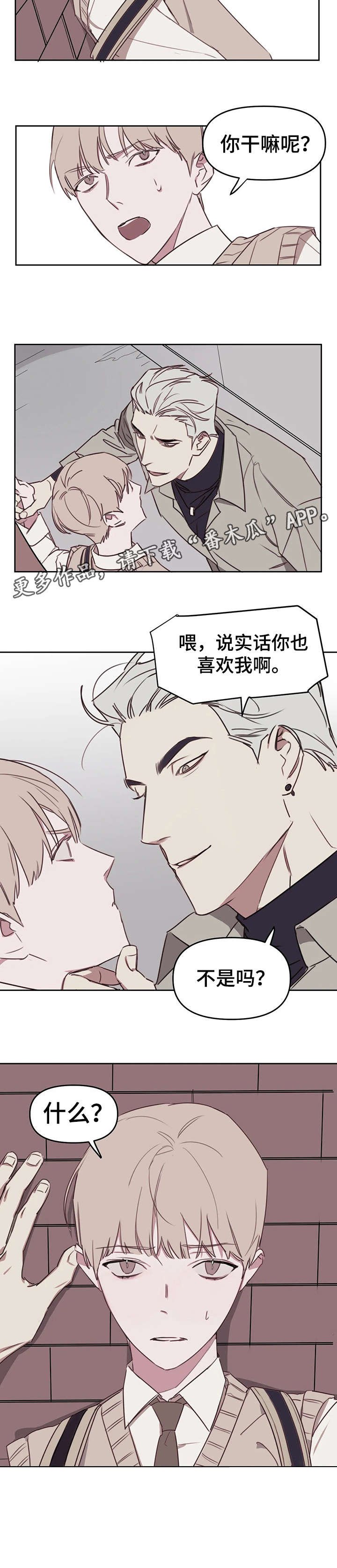 第12章：说实话