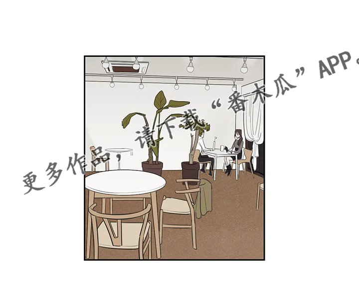 第77章：【番外】原来如此