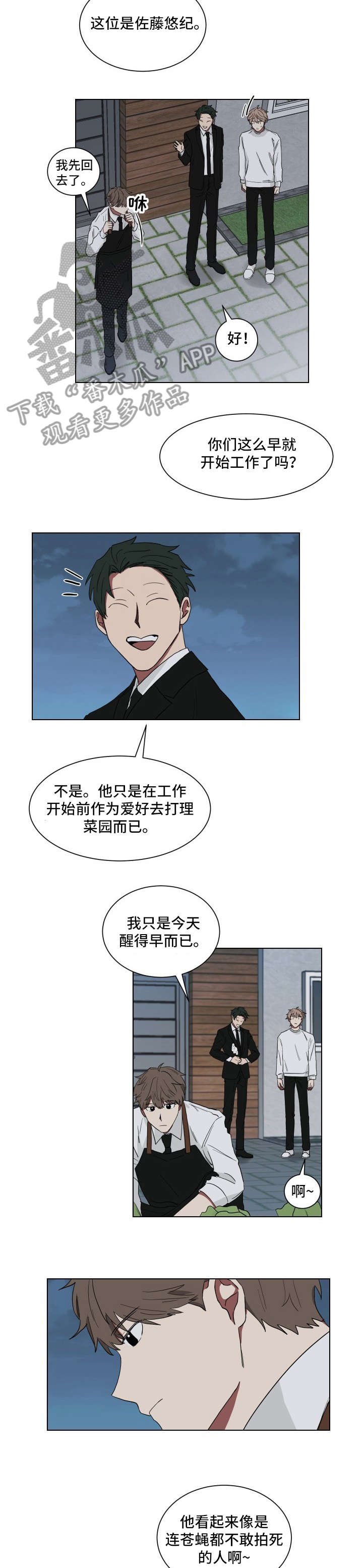 第11章：乱糟糟