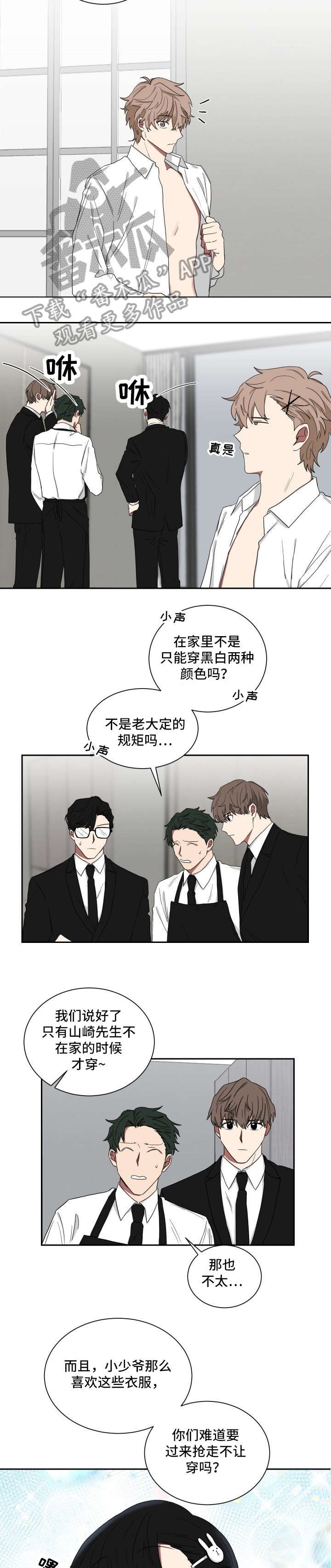 第16章：黄色