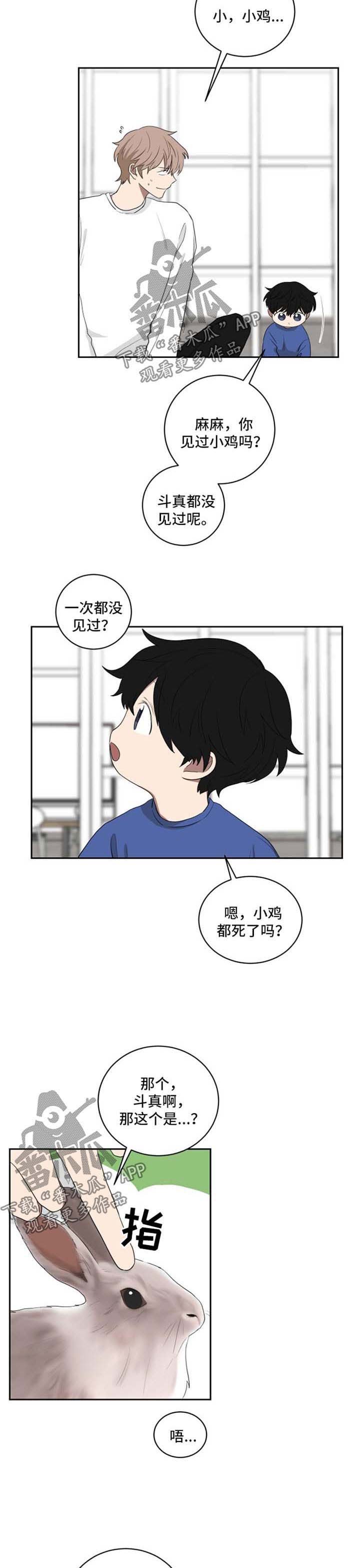 第37章：想去动物园