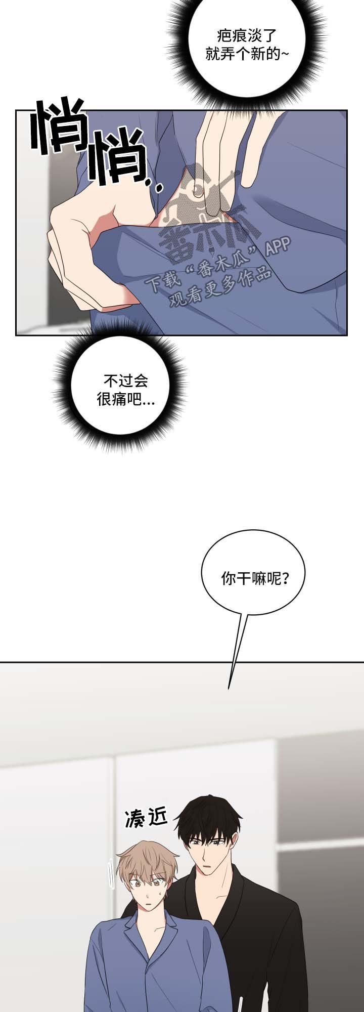 第41章：现在要看