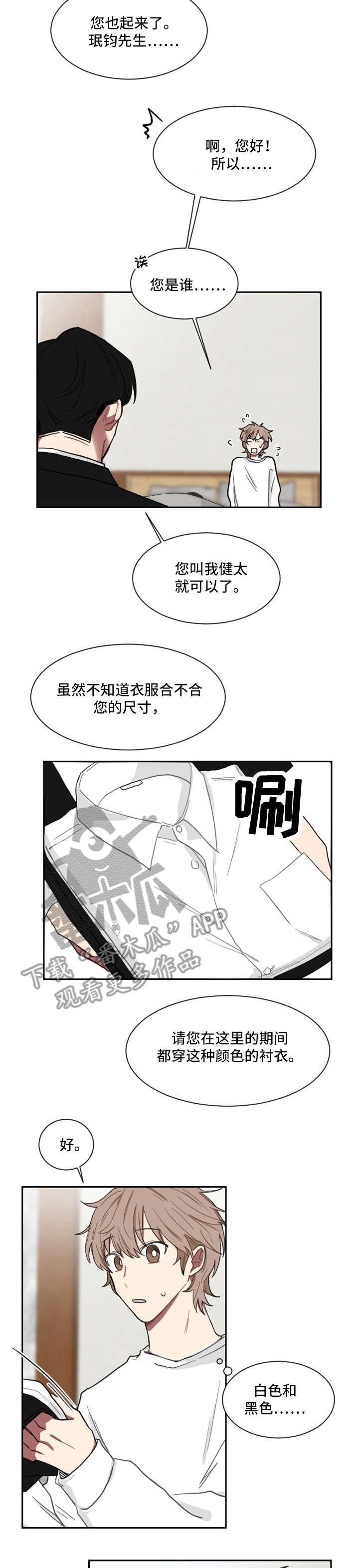 第5章：老大