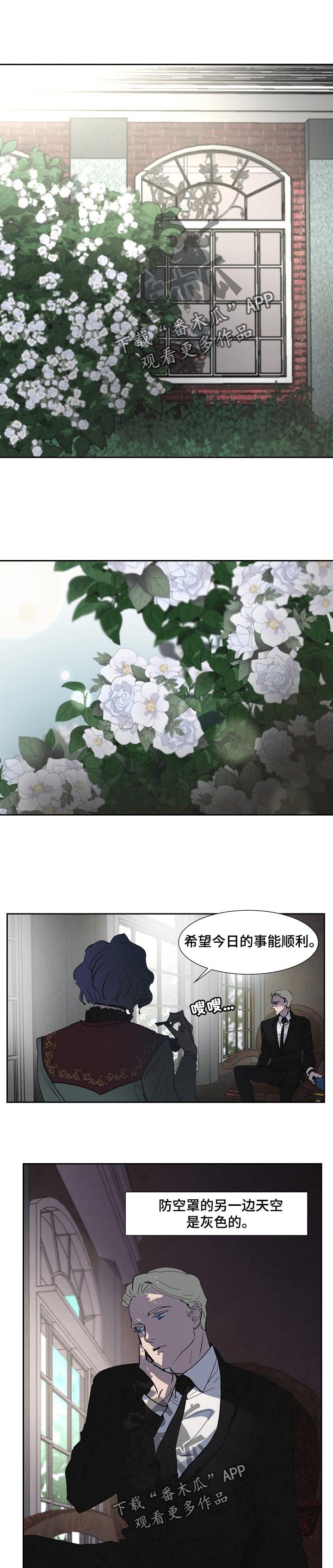 第113章： 同意书