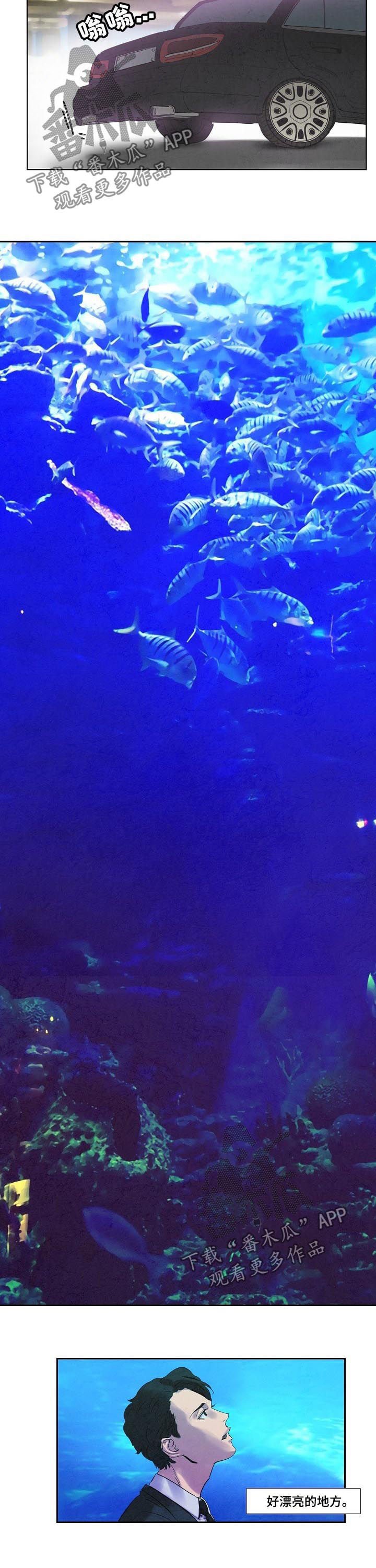 第54章：假海