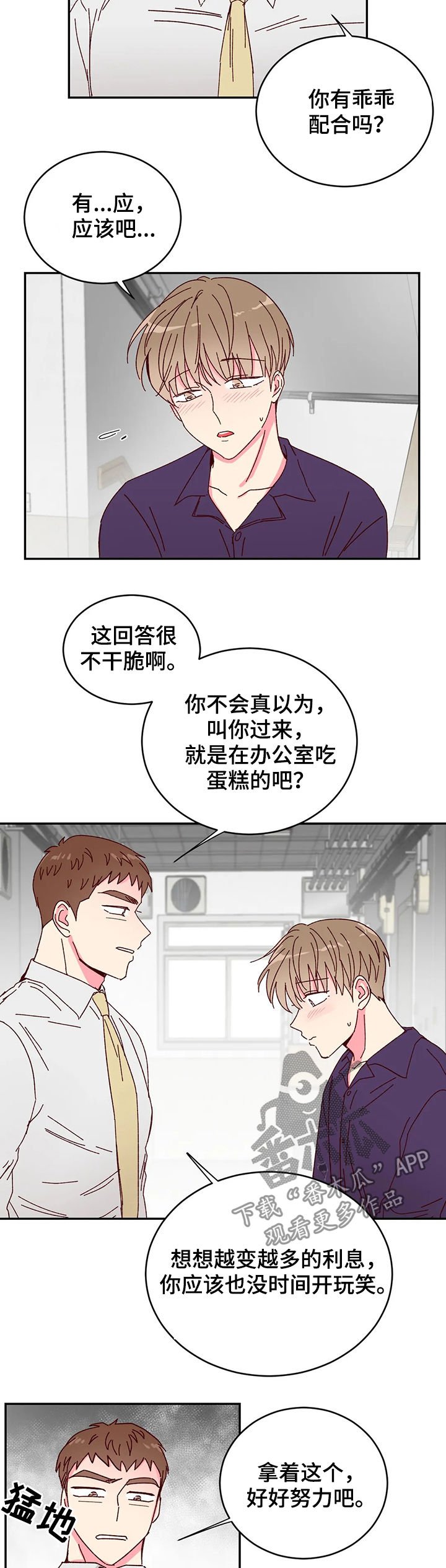 第18章：展示