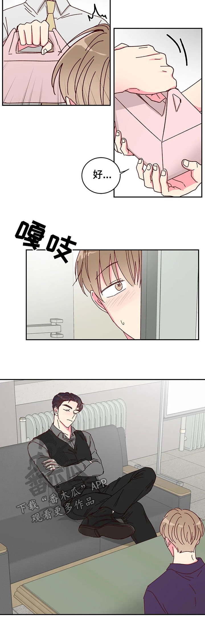 第18章：展示