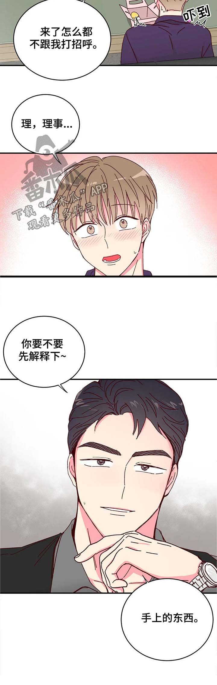 第18章：展示
