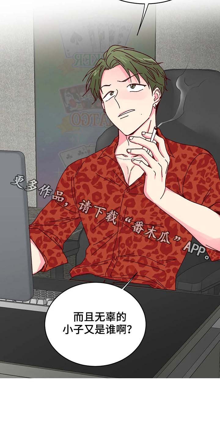 第18章：展示