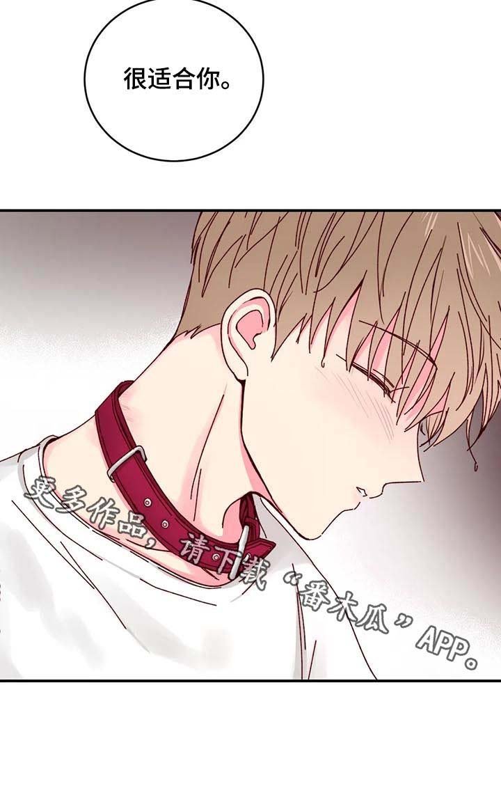 第20章：很适合你