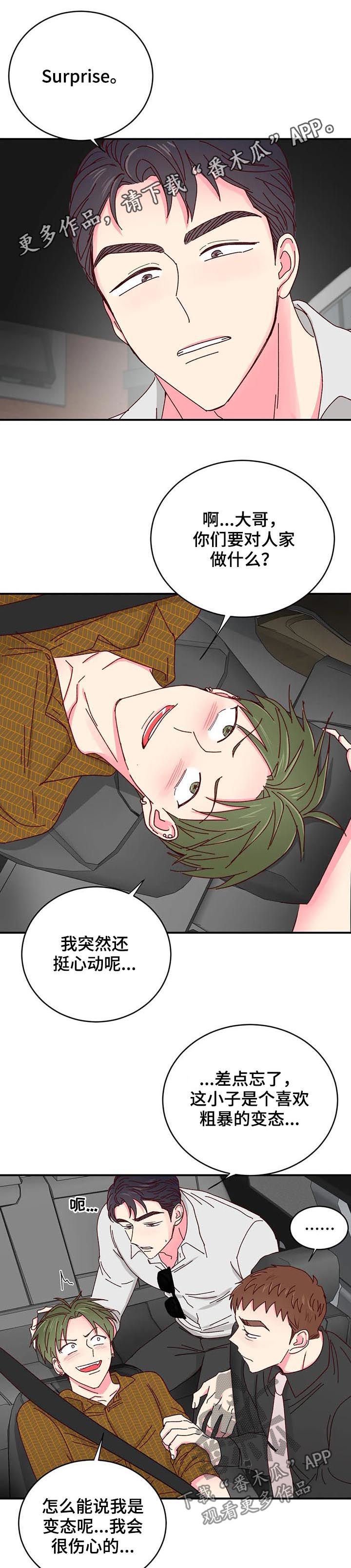 第28章：一定有猫腻
