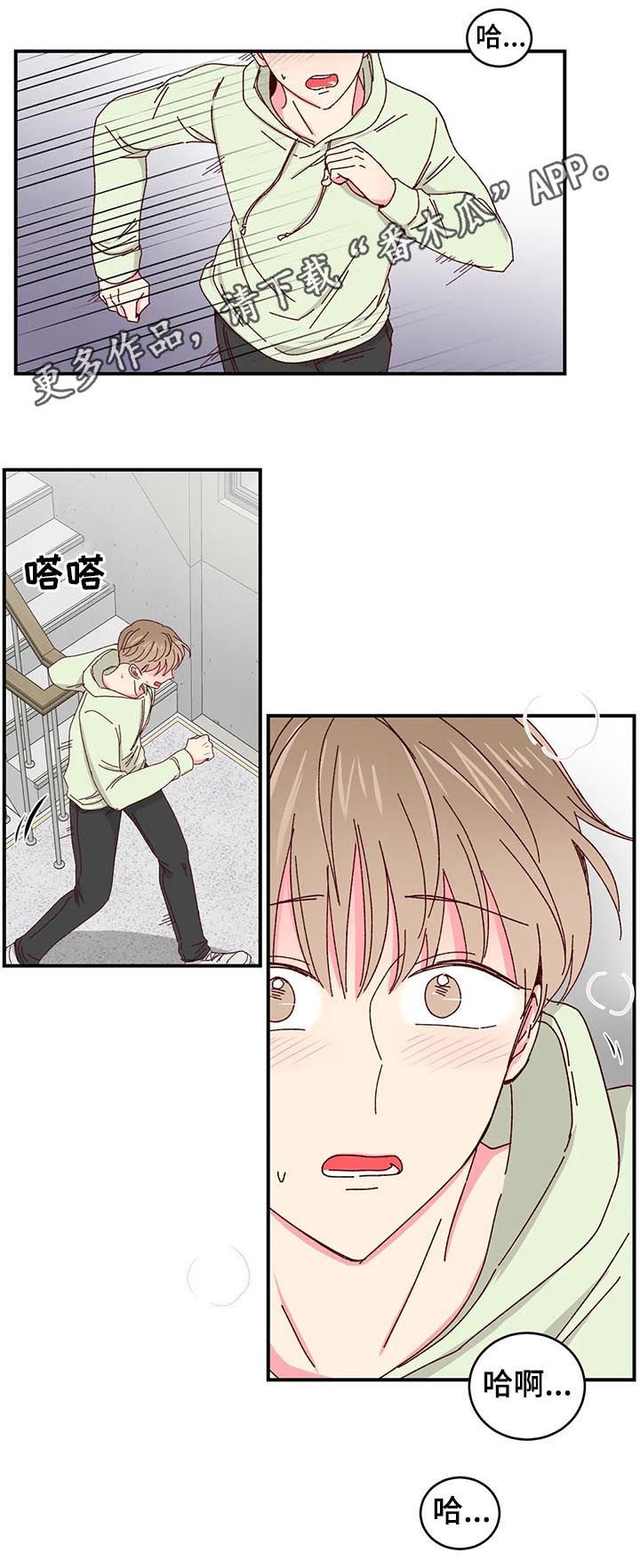 第29章：喂猫