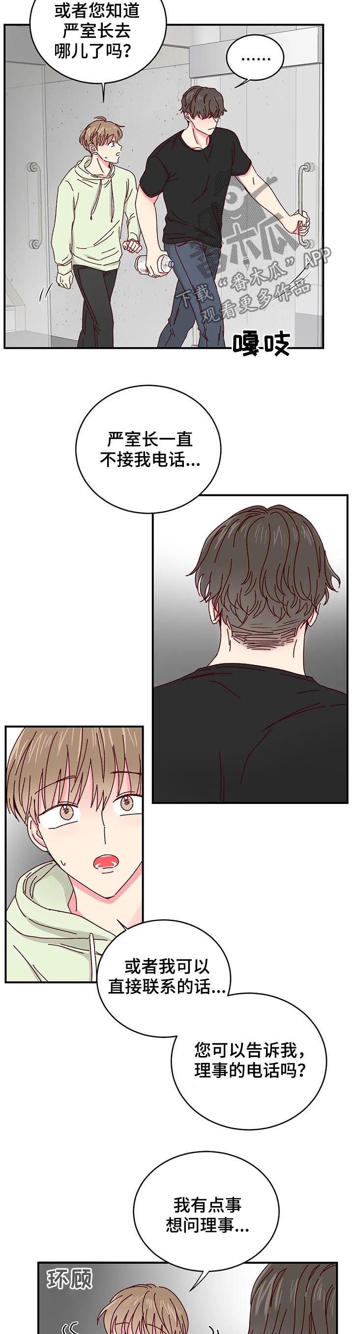 第29章：喂猫