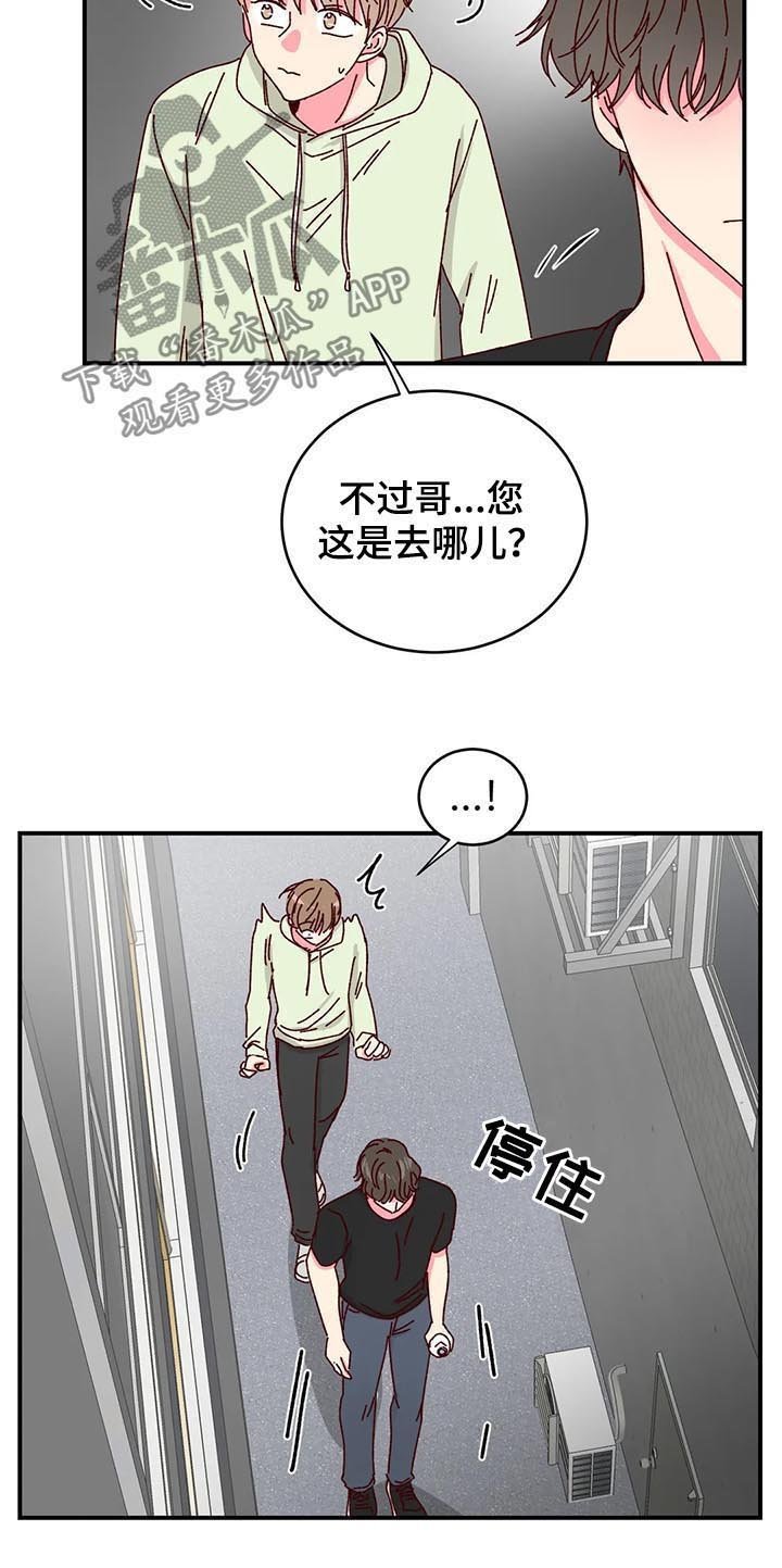 第29章：喂猫