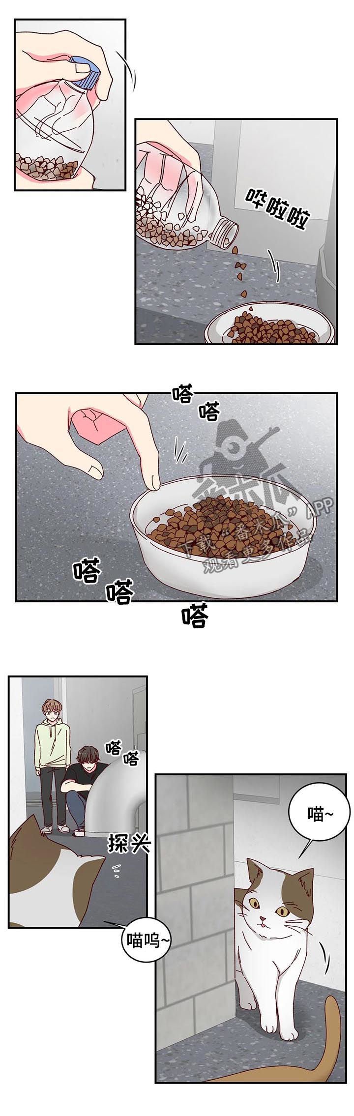 第29章：喂猫
