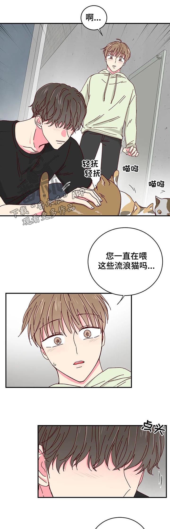 第29章：喂猫